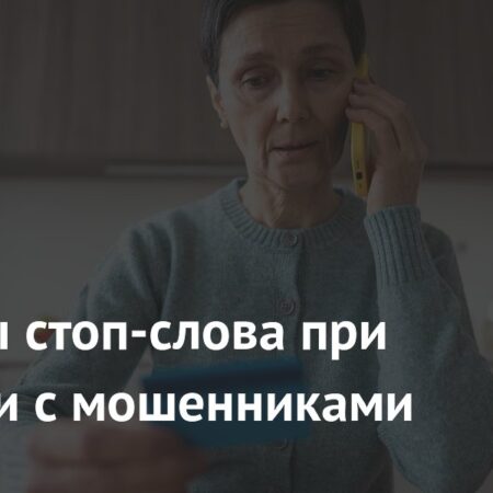 Названы стоп-слова при общении с мошенниками