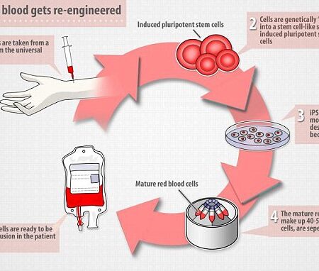 Step Towards Mass Production of Artificial Blood Made