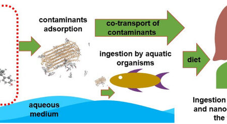 Massive Nanoplastic Contamination Detected in Atlantic