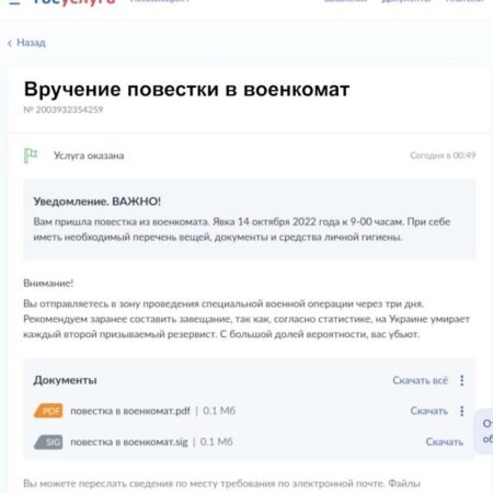 Russians Alerted to Scammers Posing as Military Officers Stealing Gosuslugi Portal Codes