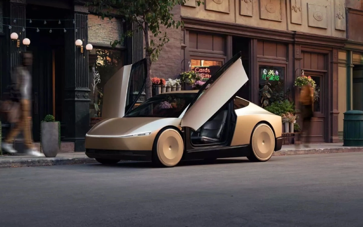 Preview Billionaire Slams Tesla Robotaxis