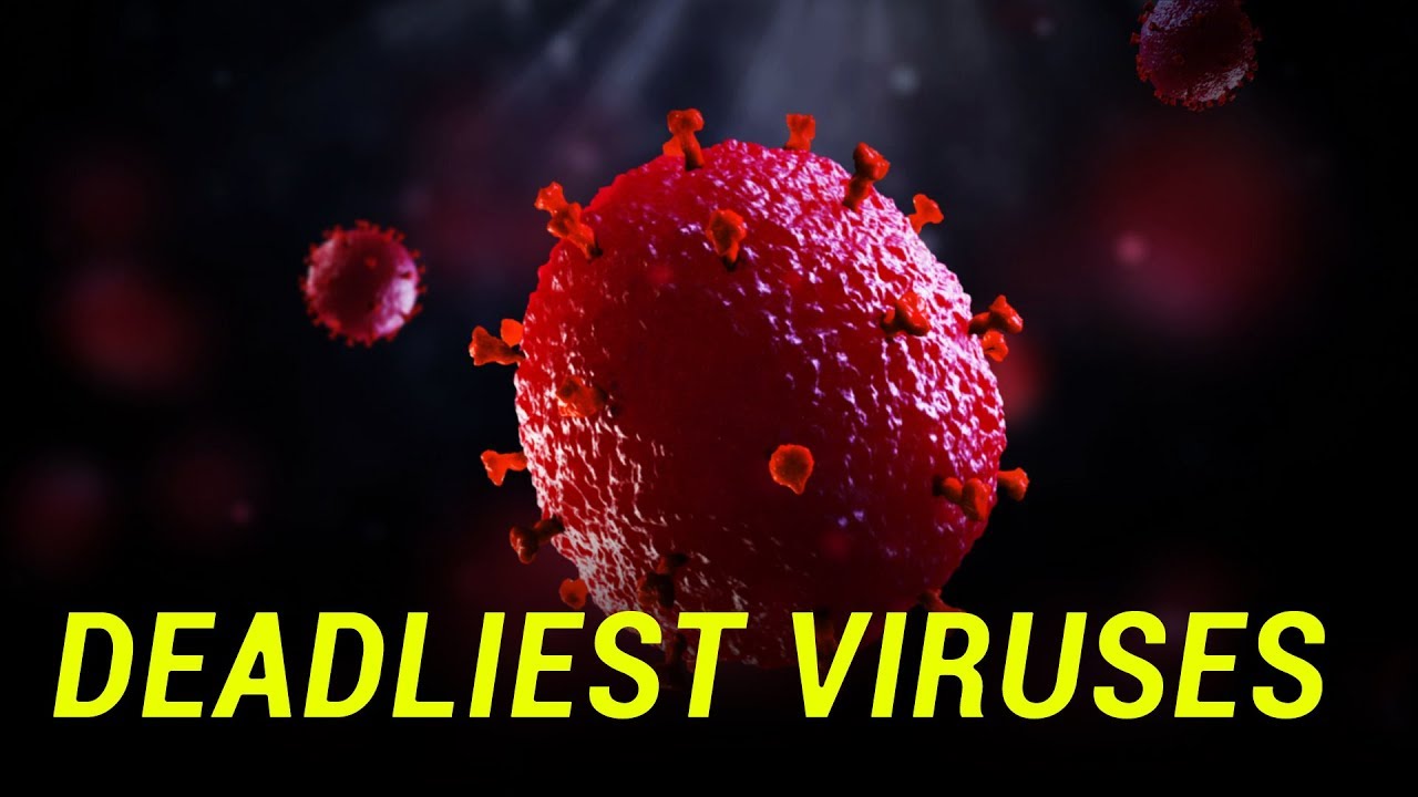 Preview Two Deadly Viruses Defeated for the First Time