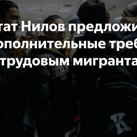 Депутат Нилов предложил ввести дополнительные требования к трудовым мигрантам