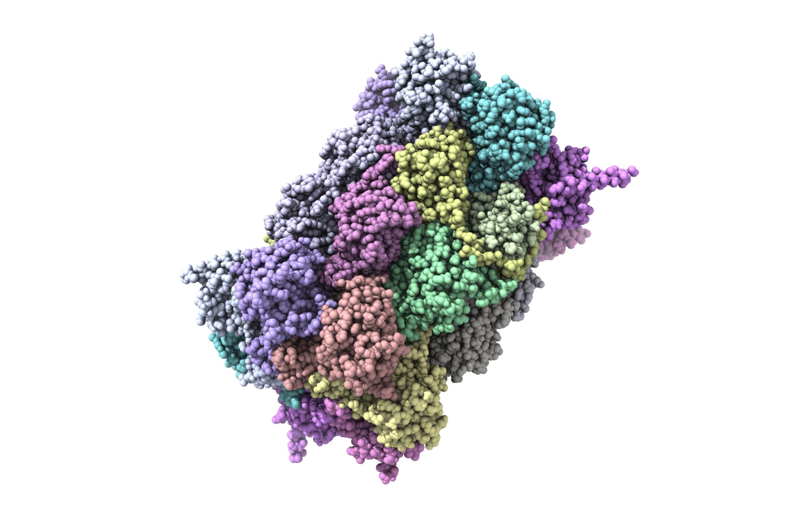 Preview Study Reveals Eggs’ Potential to Halve Alzheimer’s Risk