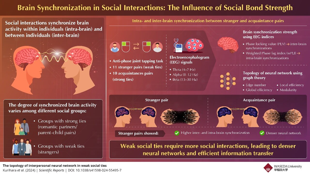 Preview Friends’ Brains Synchronize: A Hidden Mechanism of Influence