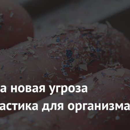 Микропластик: новая угроза для клеток легких