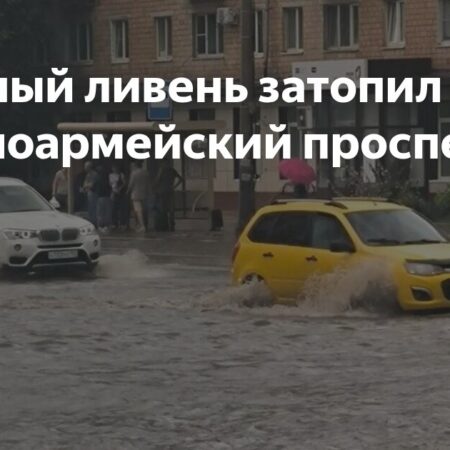 Сильнейшие ливни обрушились на Подмосковье: выпадало до 83% месячной нормы осадков