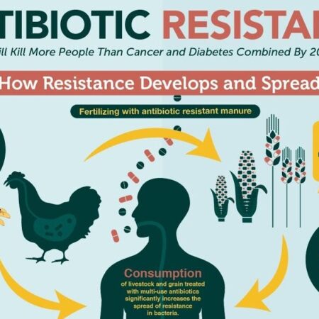 The Alarming Danger of Antibiotic Resistance: New Scientific Findings