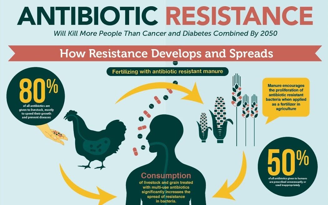 Preview The Alarming Danger of Antibiotic Resistance: New Scientific Findings