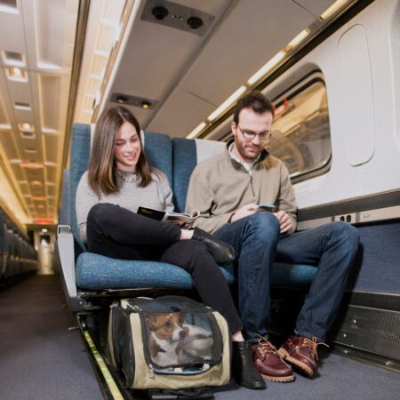 Dedicated Waiting Areas for Passengers with Pets Proposed at RZD Stations