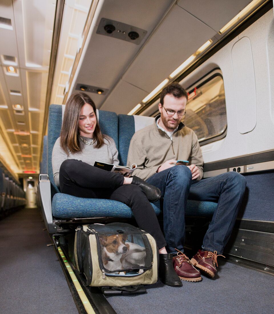 Preview Dedicated Waiting Areas for Passengers with Pets Proposed at RZD Stations