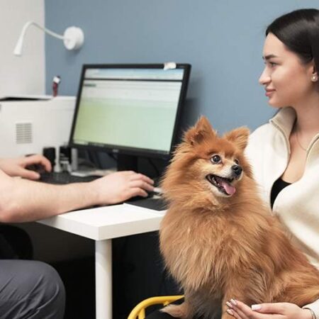 Russia to Introduce Mandatory Pet Registration