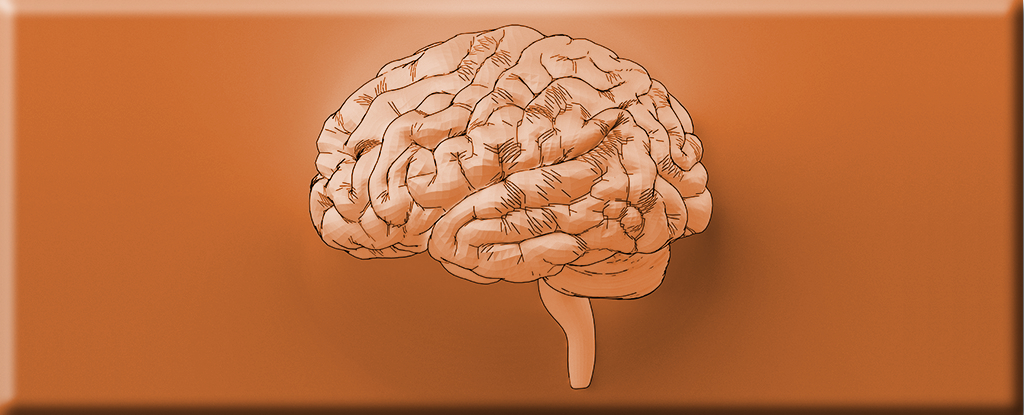 Preview Unlocking Brain Youth: How Music Preserves Cognitive Function