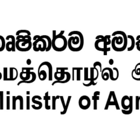 Russian Ministry of Agriculture Backs Standard for National Beer Origin