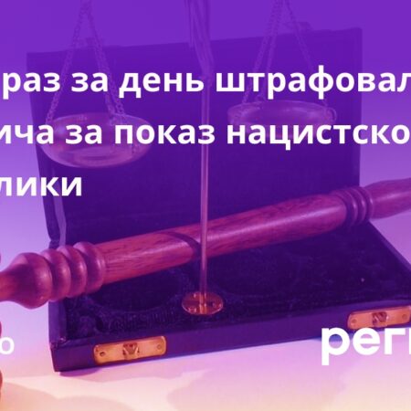 Житель Москвы оштрафован 13 раз за публичное демонстрирование нацистской символики