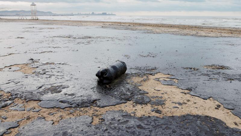 Preview Sochi Mayor Proshunin Reports No Fuel Oil on Coastline or in Sea