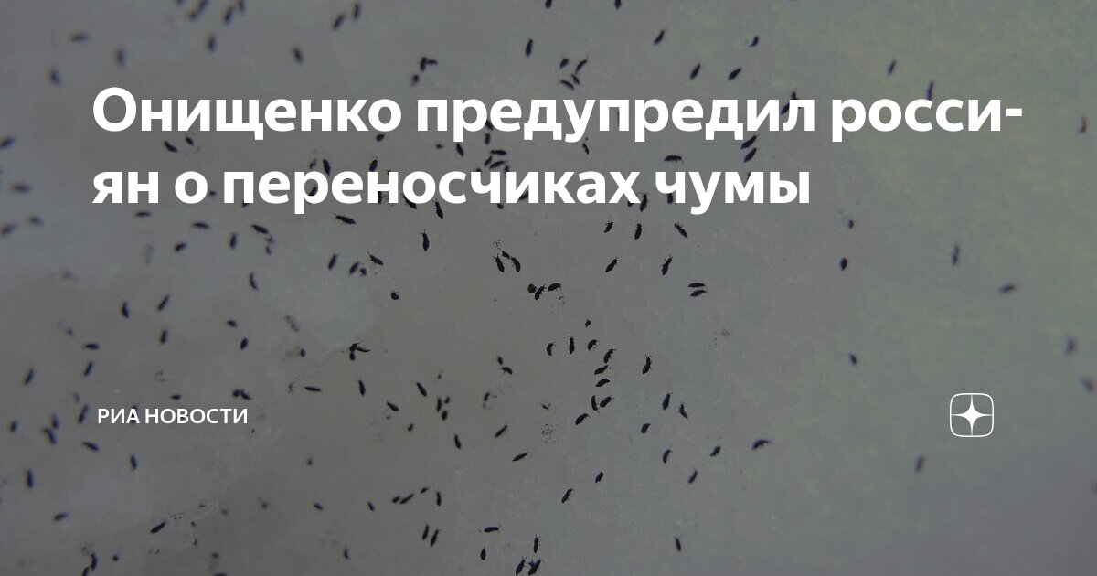 Preview Геннадий Онищенко предупреждает о переносчиках чумы