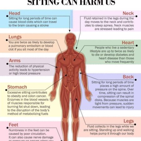 Temperature Swings Ineffective Against Harm of Prolonged Sitting, Study Shows