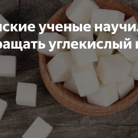 Разработан революционный способ превращения углекислого газа в сахар