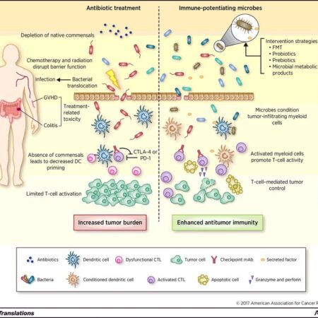 Unexpected Harm of Carbonated Drinks: Impact on Immunity via Microbiome