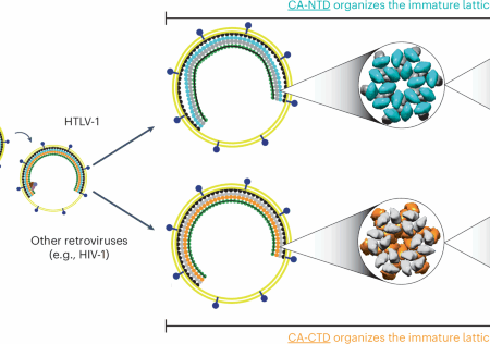 Groundbreaking Discovery: Scientists Find Way to Prevent Dangerous HTLV-1 Virus