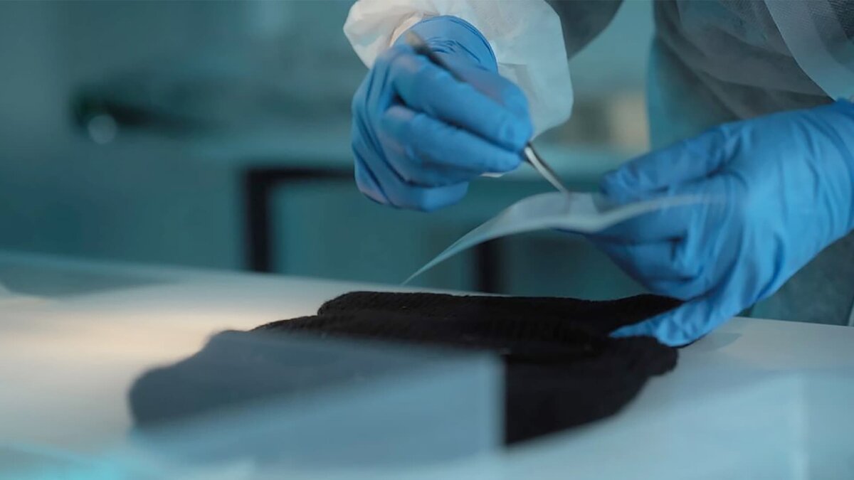 Preview Bastrykin: ICRF Forensic Experts Conducted Approximately 120,000 Examinations Since 2021