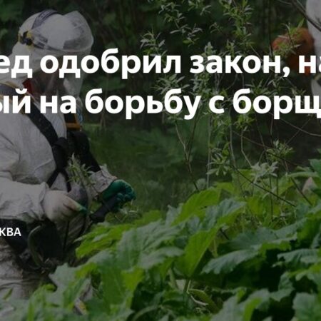 Владельцы земель обязуются бороться с борщевиком: закон одобрен Совфедом