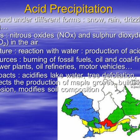 Global Spread of Trifluoroacetic Acid in Precipitation: Consequences and Potential Harm