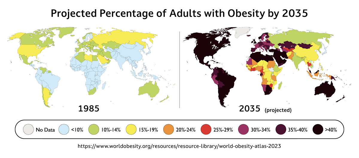 Preview Global Obesity Crisis: Over a Billion People Affected