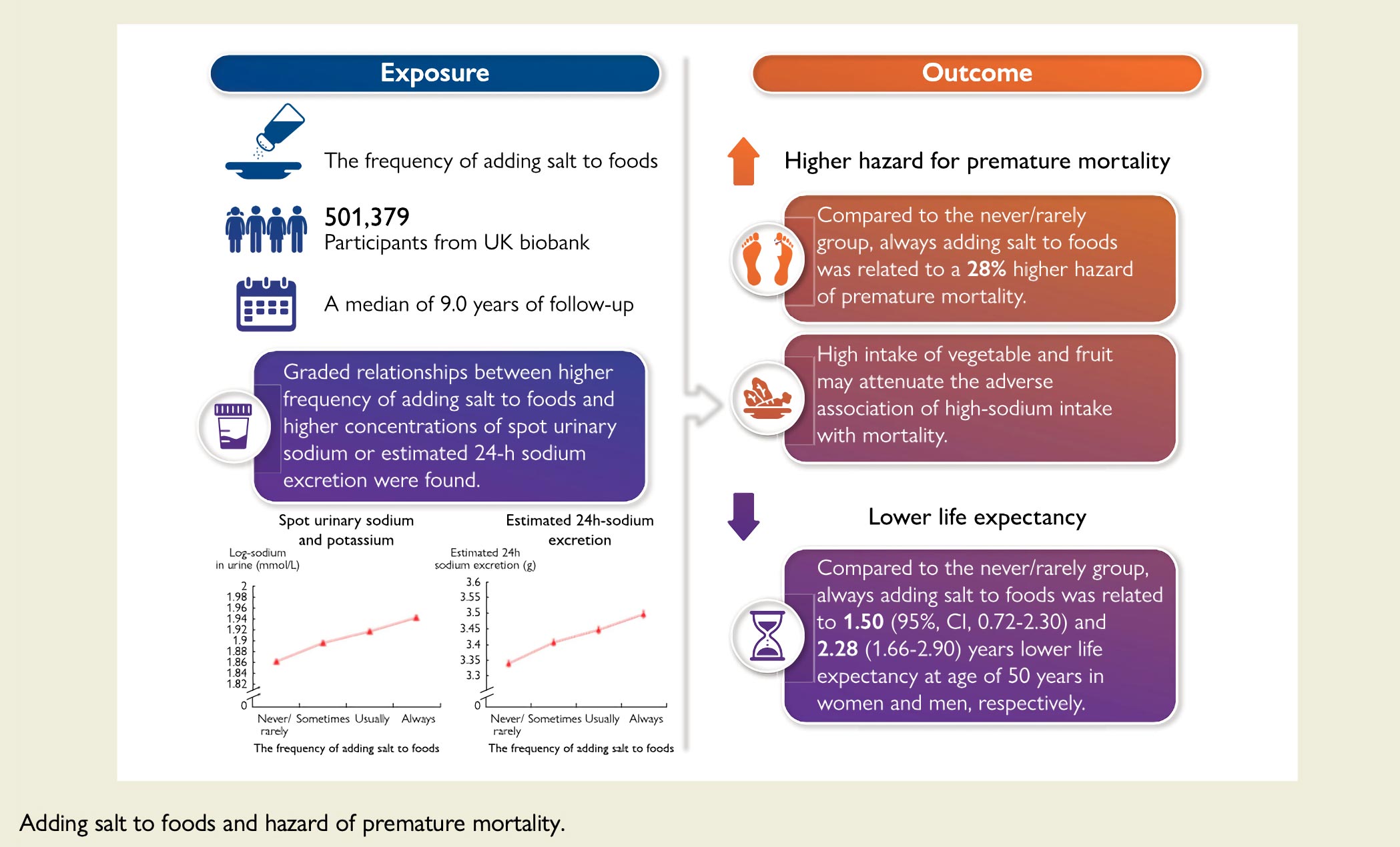 Preview A Simple Way to Reduce Premature Death Risk Identified