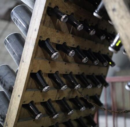 Russian Winery Myskhako Challenges Louis Royer’s Intrigue Brand in Russia