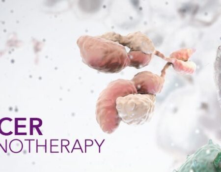 Popular Sweetener Sucralose: A Newly Identified Obstacle in Cancer Immunotherapy