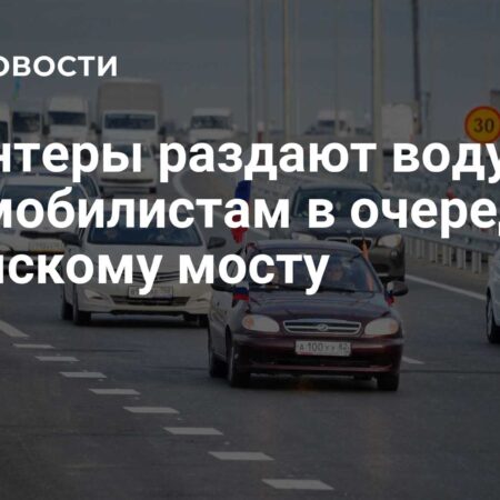 Volunteers Distribute Water to Drivers Queuing for Crimean Bridge