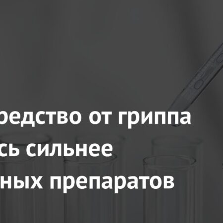 Новаторское Средство от Гриппа: Комбинация Теобромина и Араинозина Эффективнее Популярных Препаратов