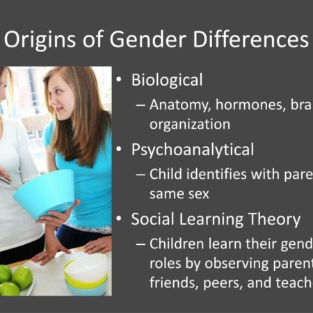 Gender Differences in Alcohol Perception: A New Scientific Study