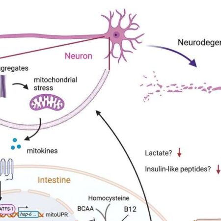 A Simple Way to Slow Neurodegeneration Discovered