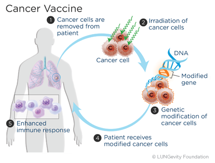 Preview New Hope: Stem Cell-Based Vaccine Targets Colorectal Cancer