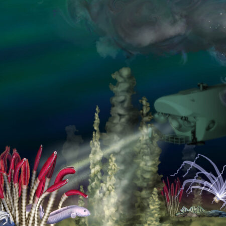 Remarkable Deep-Sea Ecosystems Discovered