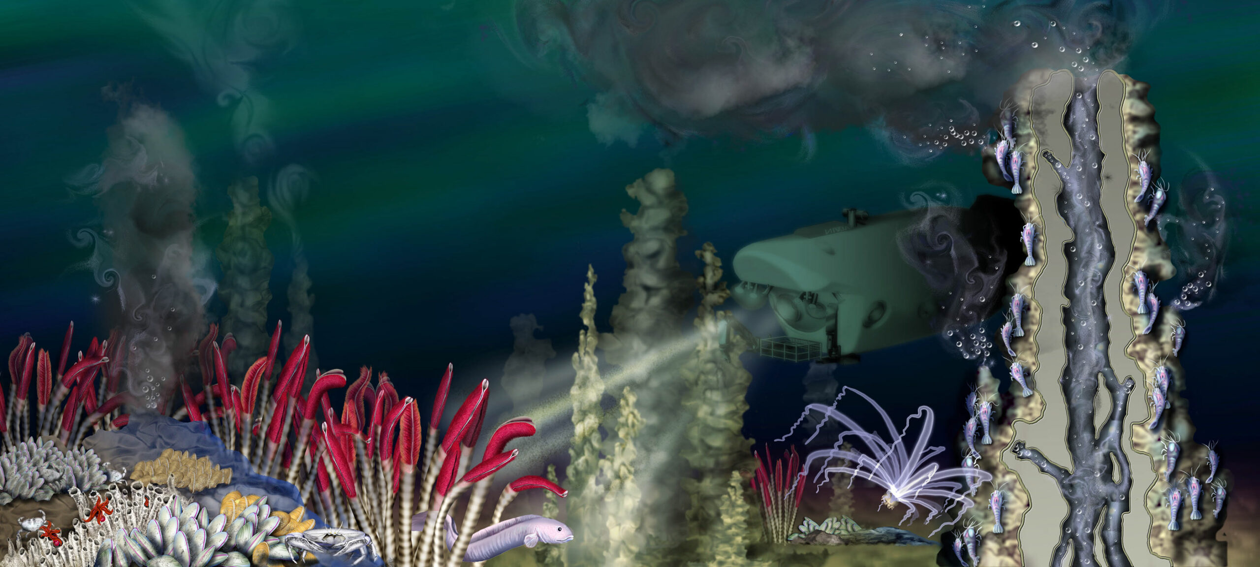 Preview Remarkable Deep-Sea Ecosystems Discovered