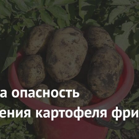 Ученые предупреждают об опасности картофеля фри для здоровья