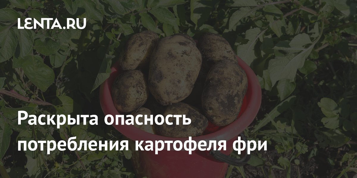 Preview Ученые предупреждают об опасности картофеля фри для здоровья