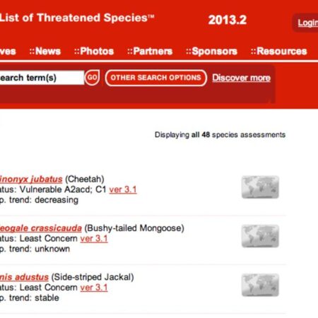 Kamchatka Witnesses Rise in Red-Listed Seal Numbers