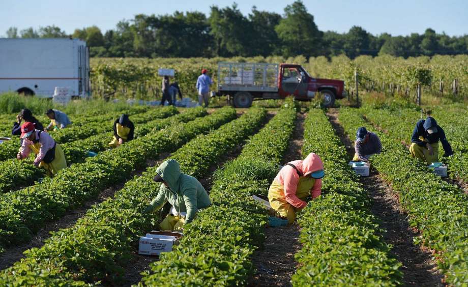 Preview Significant Pension Supplement for Russian Rural Agricultural Workers in 2025
