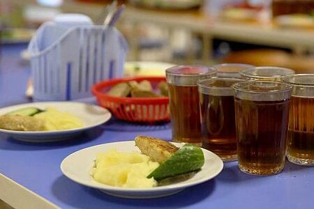 Free Hot Meals Proposed for All Russian Schoolchildren
