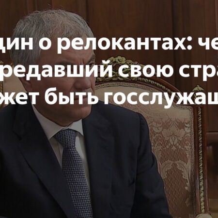 Володин: Большинство депутатов считают, что релокантам нельзя быть госслужащими