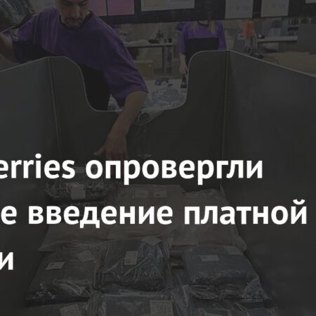 Wildberries Опровергает Массовое Введение Платная Доставки