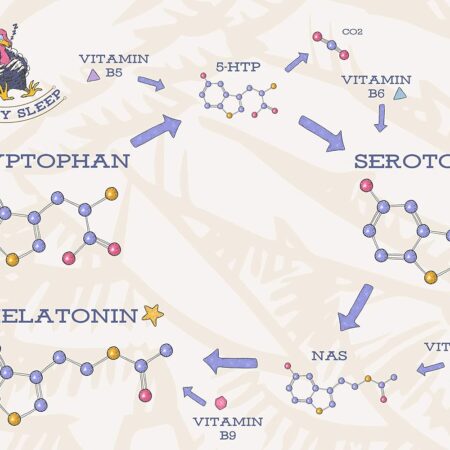 Nutritionist Mila Maslennikova: Tryptophan is Key for Melatonin Production