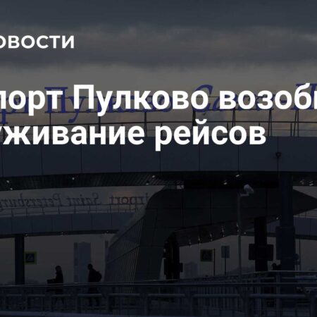 Аэропорт Пулково возобновил обслуживание рейсов