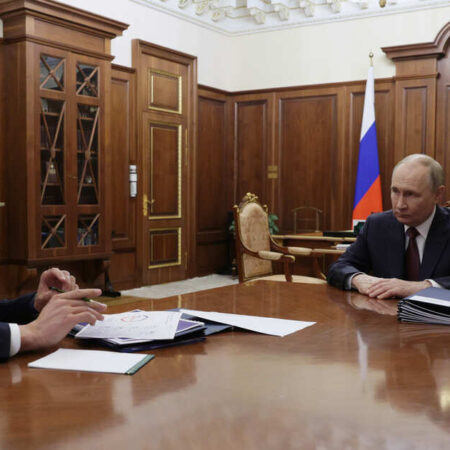 Putin Discusses Digital Services and Anti-Fraud Measures with Grigorenko