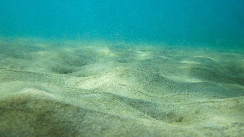 Preview Аномальные песчаные образования на морском дне бросают вызов геологии